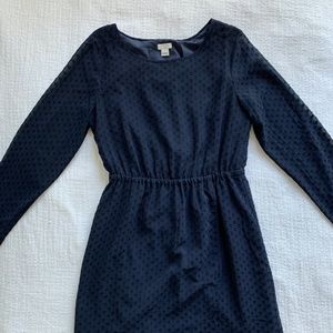 J.Crew Navy Dotted Dress